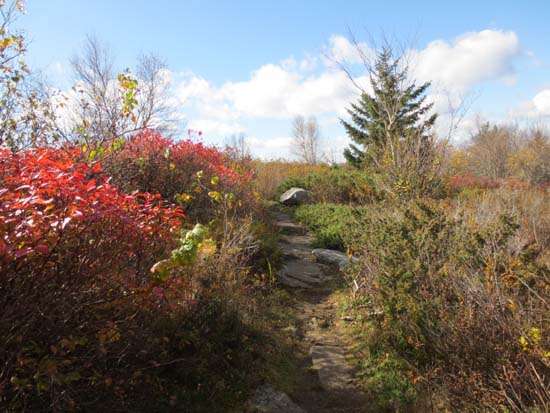 The Metacomet-Monadnock Trail near the north peak