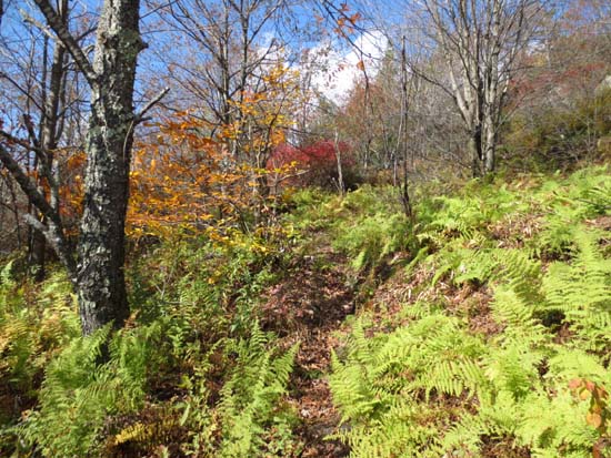 The path between the peaks