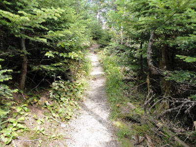 The Garfield Ridge Trail between the West and East Peaks of Garfield Ridge