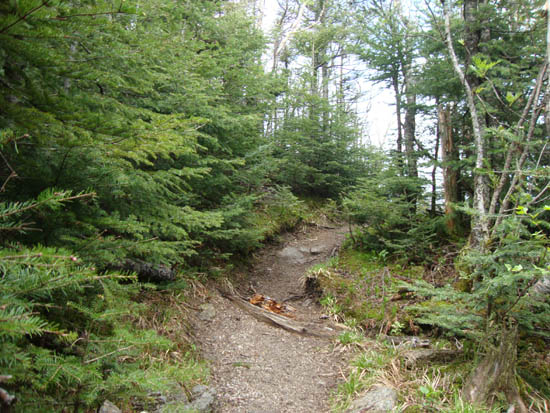 The Garfield Ridge Trail between the West and East Peaks of Garfield Ridge