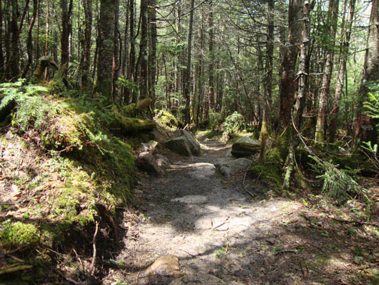 The Garfield Ridge Trail on the way to the West Peak of Garfield Ridge