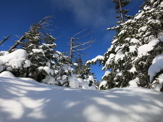 Garfield Ridge Trail on the way to the West Peak