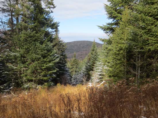 The looking down a logging road on the west side of Gore Mountain