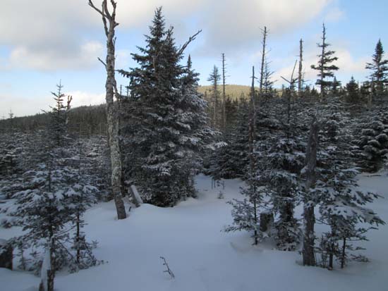 The Notch-Gore col