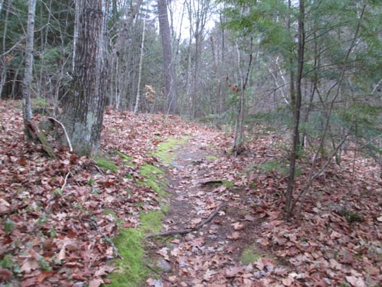 Hamilton's Path