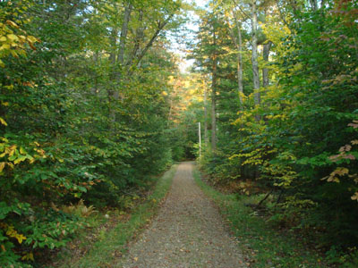 Looking up the trail to Great Hill