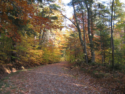 Looking up the trail to Great Hill