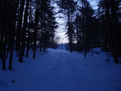 Looking up the trail to Great Hill