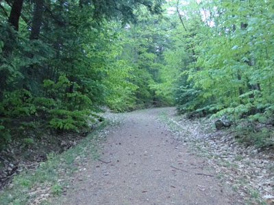 Looking up the trail to Great Hill