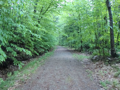 Looking up the trail to Great Hill