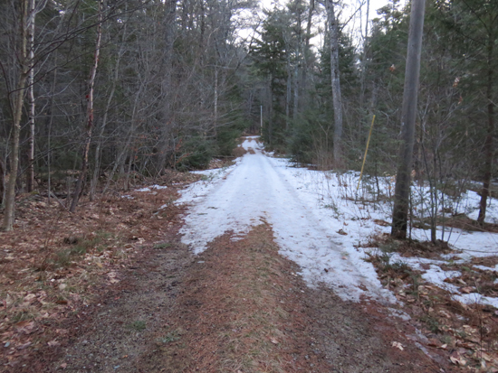 Looking up the trail to Great Hill