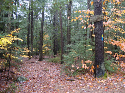 The Big Pines trailhead off Route 113A