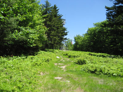 Heading up the last stretch of trail to the fire tower (near the cabins)