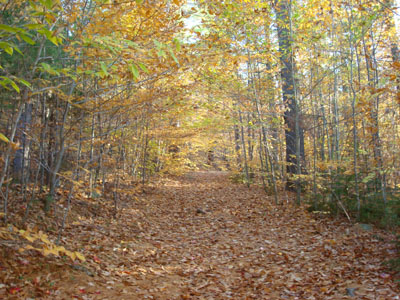 Heading up the High Watch Trail to the Green Mountain summit
