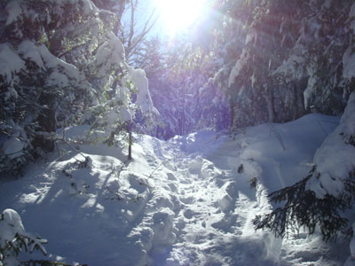 Heading up the High Watch Trail to the Green Mountain summit