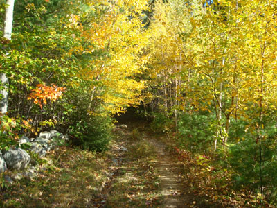 Heading up the High Watch Trail to the Green Mountain summit