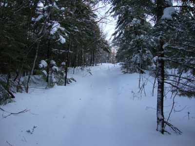Heading up the High Watch Trail to the Green Mountain summit