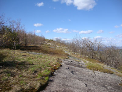 The Ridge Trail on the way to Gunstock Mountain