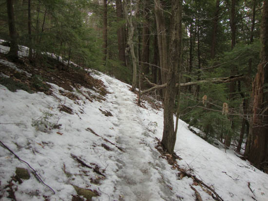 Looking up the Gunstock Mountain Trail