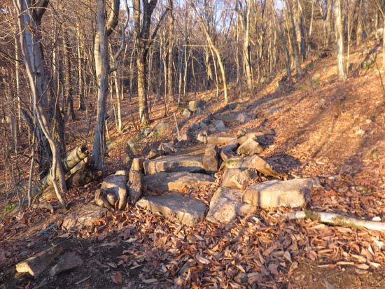 Looking up the Blue Trail