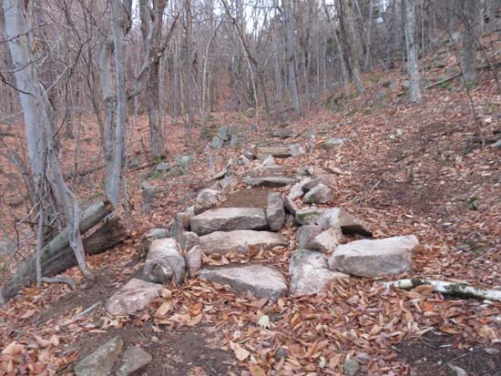 Looking up the Blue Trail
