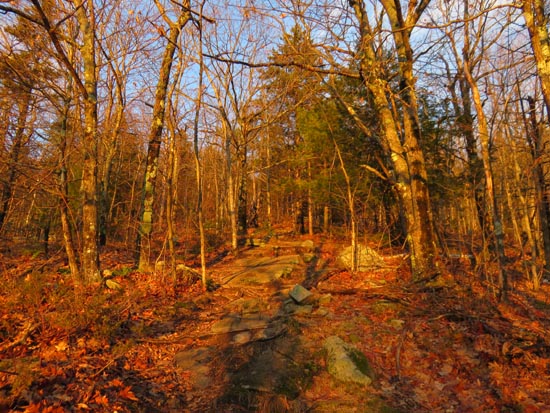 Looking up the Gunstock Mountain Trail