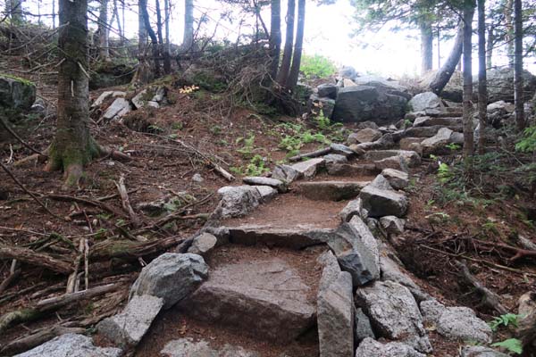 Looking up the summit spur