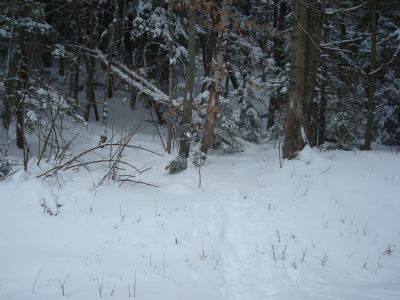 The Gunstock Mountain Trail trailhead on the Carriage Road