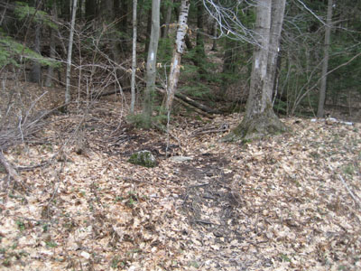 The Gunstock Mountain Trail trailhead on the Carriage Road