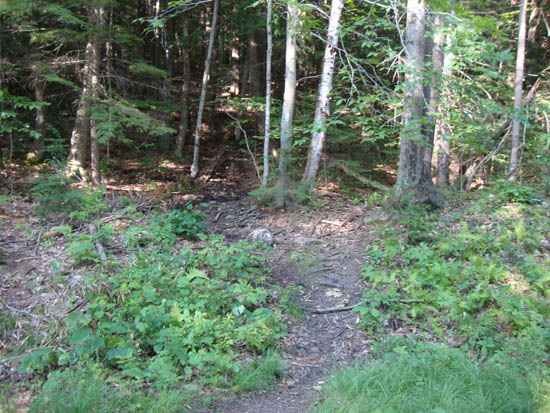 The Gunstock Mountain Trail trailhead on the Carriage Road
