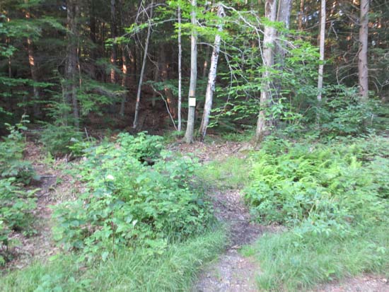 The Gunstock Mountain Trail trailhead on the Carriage Road
