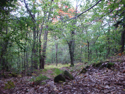 The spur trail to Hanson Top