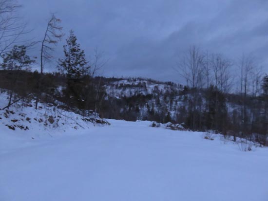 A logging road on the way to Harper Hill