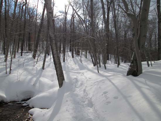 Looking up the trail to Hersey Mountain