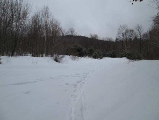 The logging landing at the corner of George Duncan State Forest