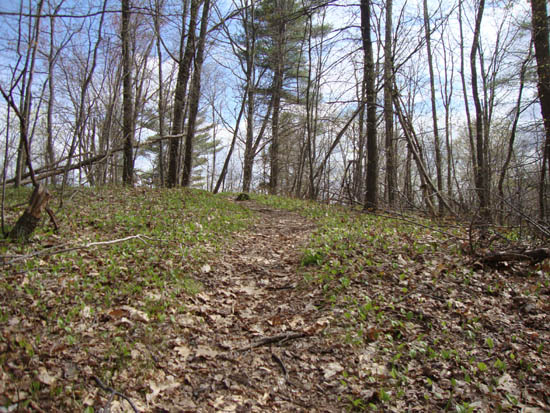 Looking up the Holts Ledge Trail