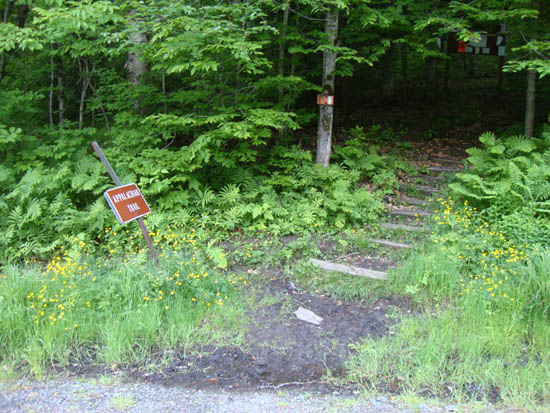 The Holts Ledge Trail trailhead