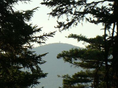 Looking through the trees at Kearsarge North Mountain from Hurricane Mountain - Click to enlarge