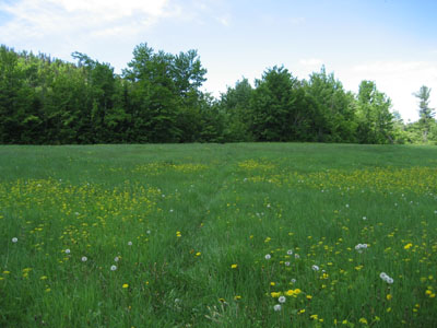 Looking across the fields near the beginning of the trail to Iron Mountain
