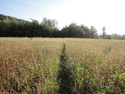 Looking across the fields near the beginning of the Iron Mountain Trail