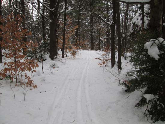 Monadnock-Sunapee Greenway on the way to Jackson Hill