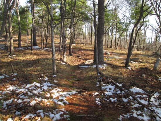 Looking up the trail to Joe English Hill