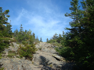 Looking up the Kearsarge North Trail near the summit