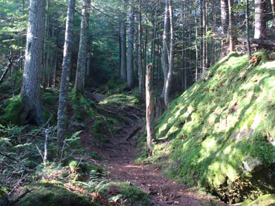 Looking up the Mt. Kinsman Trail on the way to the north peak of Mt. Kinsman