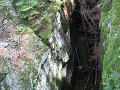 The gorge near the Mt. Kinsman Trail