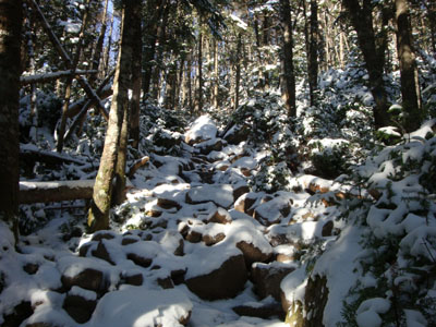 Looking up the rough Kinsman Pond Trail