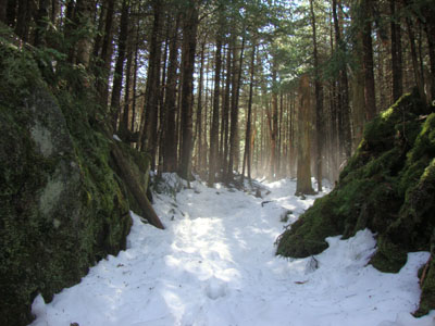Looking up the Mt. Kinsman Trail as the snow melts