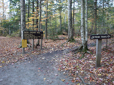 The Basin Cascade Trail trailhead in the Basin