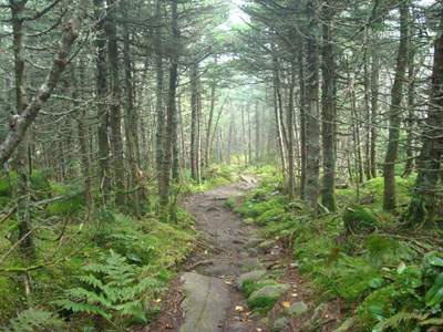 The Kinsman Ridge Trail near South Kinsman