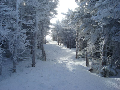 Looking up the Kinsman Ridge Trail on the way to the south peak of Mt. Kinsman